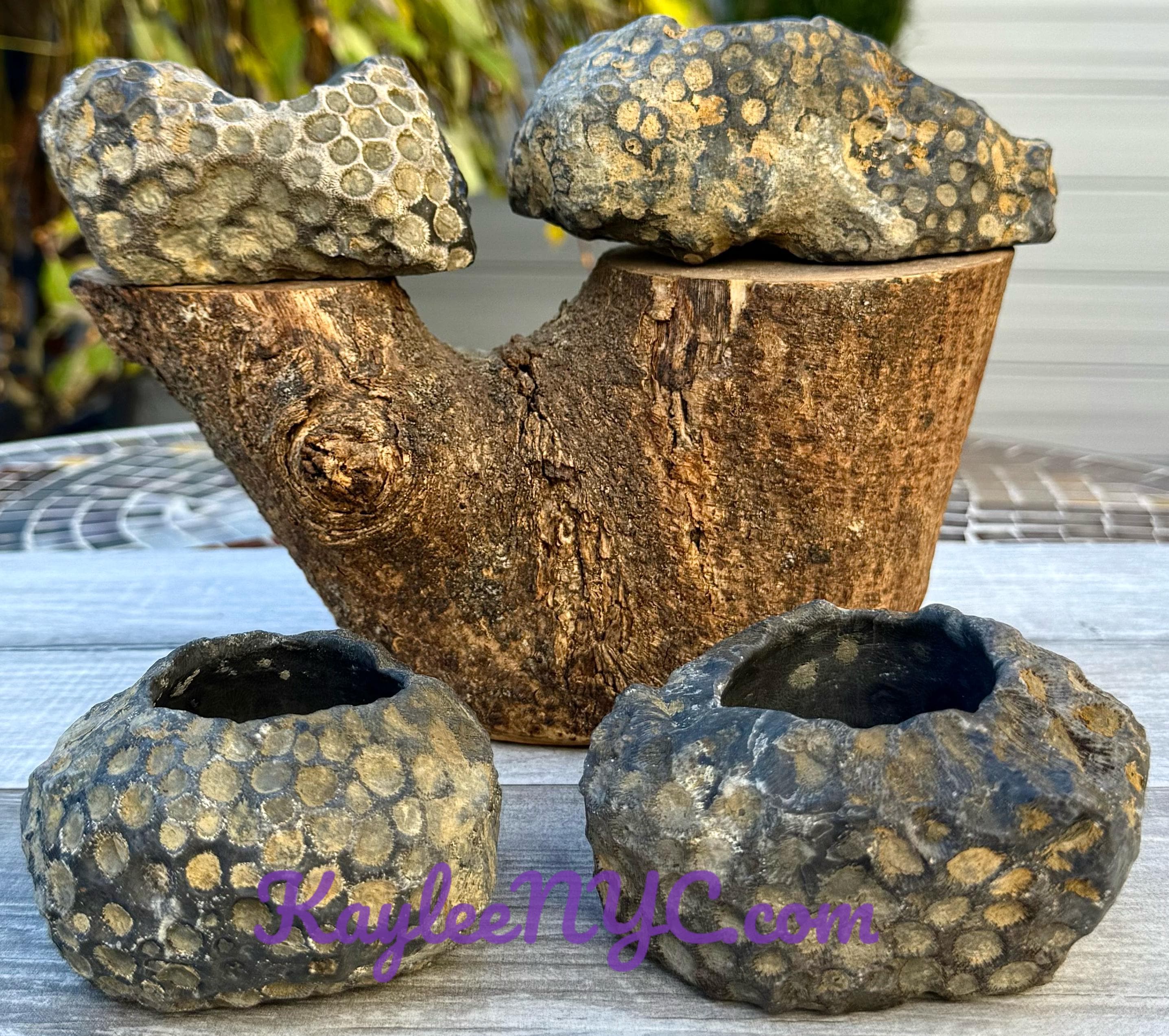 Wholesale Lot 4 pcs Natural Fossil Coral Bowls Crystal Healing Energy