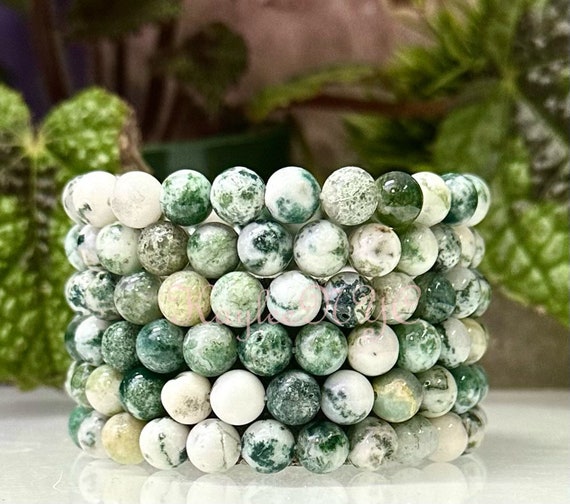 Buy Buddha Head Stylish Tree Agate Bracelet for Unisex Online In India At  Discounted Prices