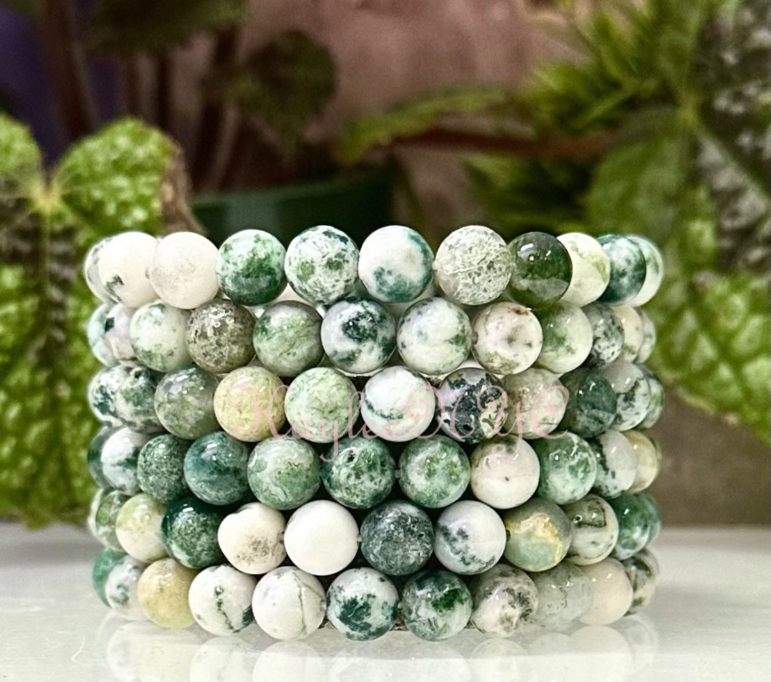 Wholesale 6 Pcs 8mm Tree Agate Natural Crystal Healing Stretch
