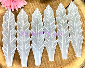 Wholesale Lot 6 pcs Natural Selenite aka Satin Spar Leaf Crystal Healing Energy ~20cm