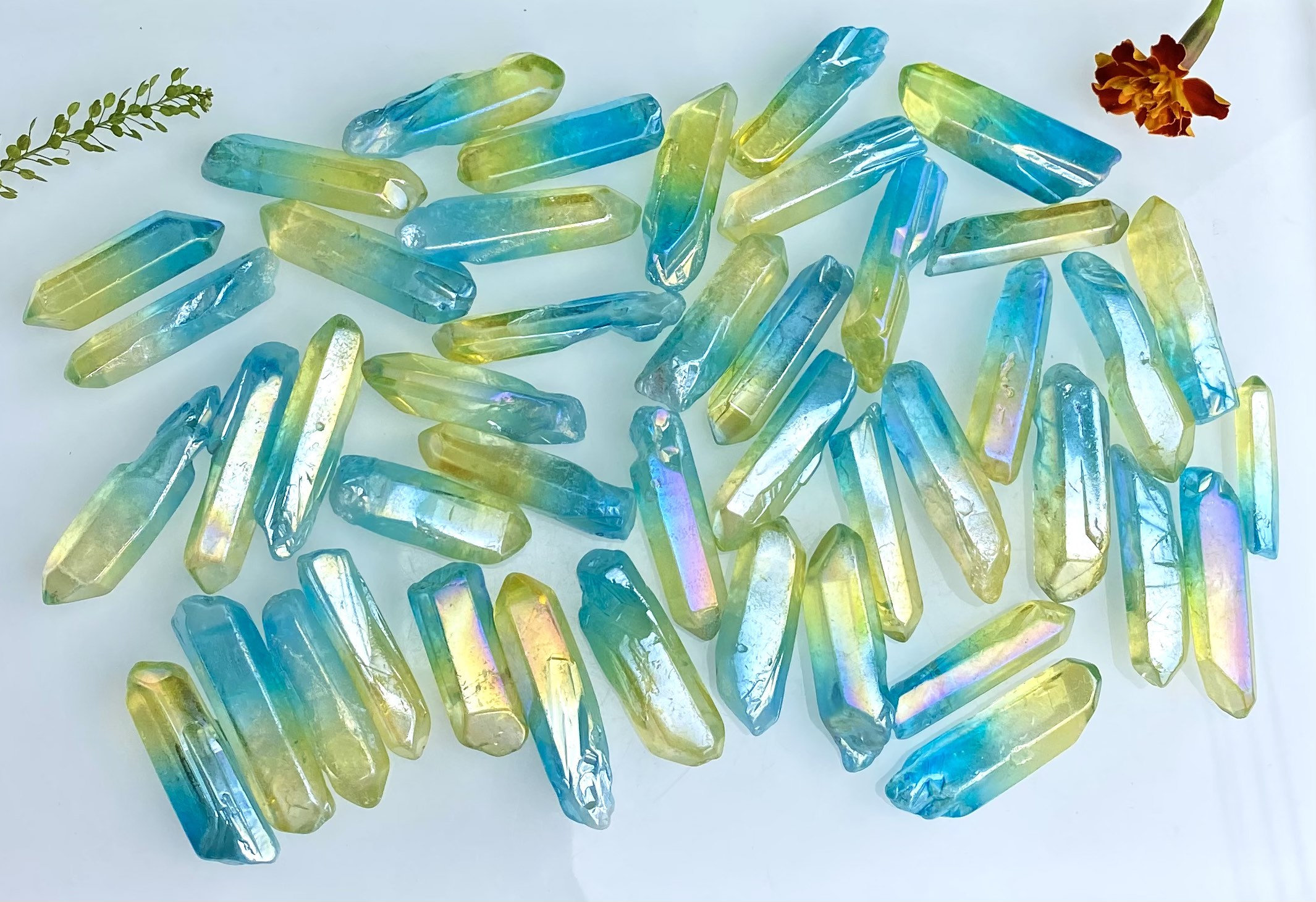 Wholesale Lot 1 Lb Rainbow Aura Quartz Wand Tumble Crystal Nice Quali…