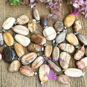 May include: A collection of 20+ natural petrified wood pendants with silver bail. The pendants are various shades of brown, beige, and white with unique patterns.