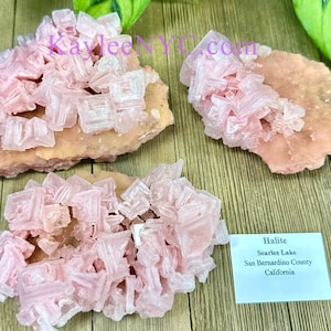 Puede incluir: Tres grupos de cristales de halita rosa sobre una superficie marrón claro. Los cristales son translúcidos y tienen forma cúbica. Una etiqueta blanca con el texto "Halite, Searles Lake, San Bernardino County, California" se encuentra en la esquina inferior derecha de la imagen.