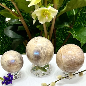 Wholesale Lot 2-3 Pcs Natural Moonstone Spheres Crystal Ball 1.9-2 Lb Healing Energy