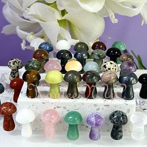 Wholesale Lot 40 PCs Natural Mixed 1” Crystal Mushroom Healing Energy