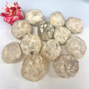 Puede incluir: Una colección de doce piedras de cuarzo blanco translúcido y rugoso con formas irregulares y redondeadas y superficies texturizadas, acompañada de una sola flor rosa y blanca con pétalos en capas situada en la esquina superior izquierda.