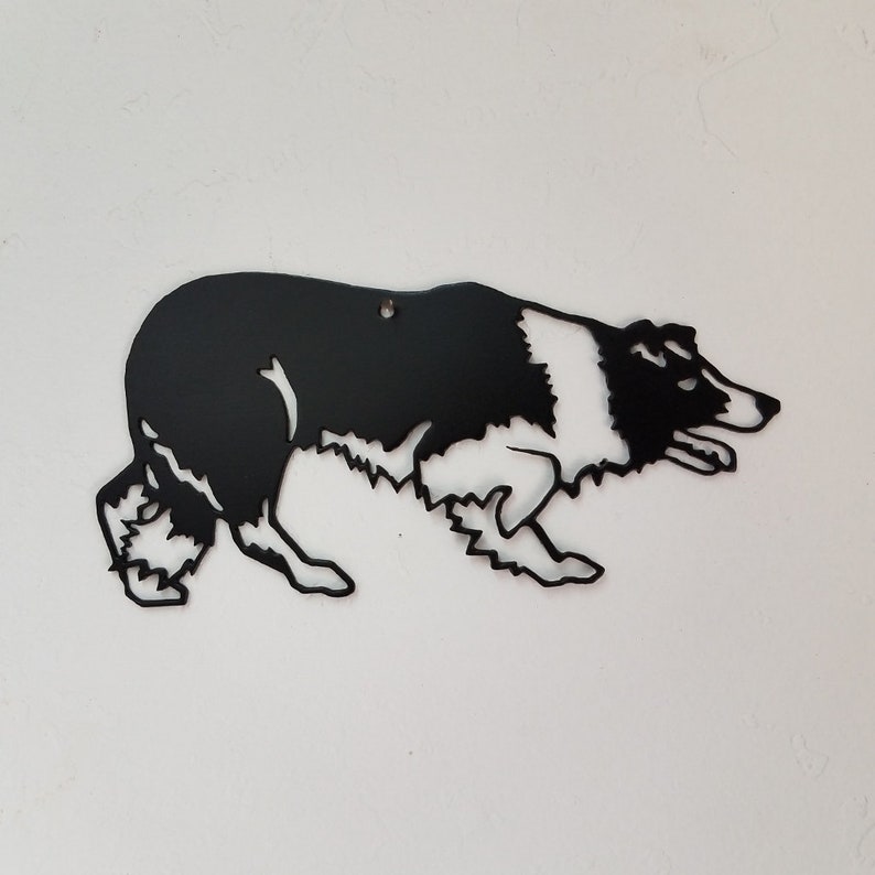 Border Collie Wall Art AN29D Etsy