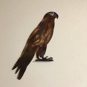 Hawk Silhouette AN22