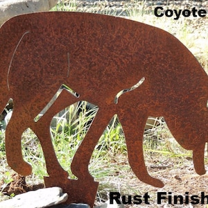 Coyote YA17D