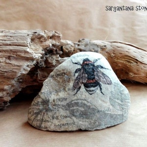 INSECT PAPERWEIGHT, decoupage stone, 3 versions paperweights, menhir and incense burners image 1