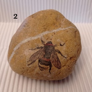 INSECT PAPERWEIGHT, decoupage stone, 3 versions paperweights, menhir and incense burners image 6