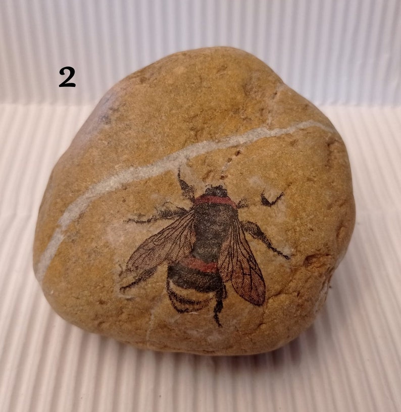 INSECT PAPERWEIGHT, decoupage stone, 3 versions paperweights, menhir and incense burners image 6