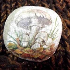 decorated stones mushrooms, decoration MICOLOGIA, INCENSE BURNER, decoupage image 3