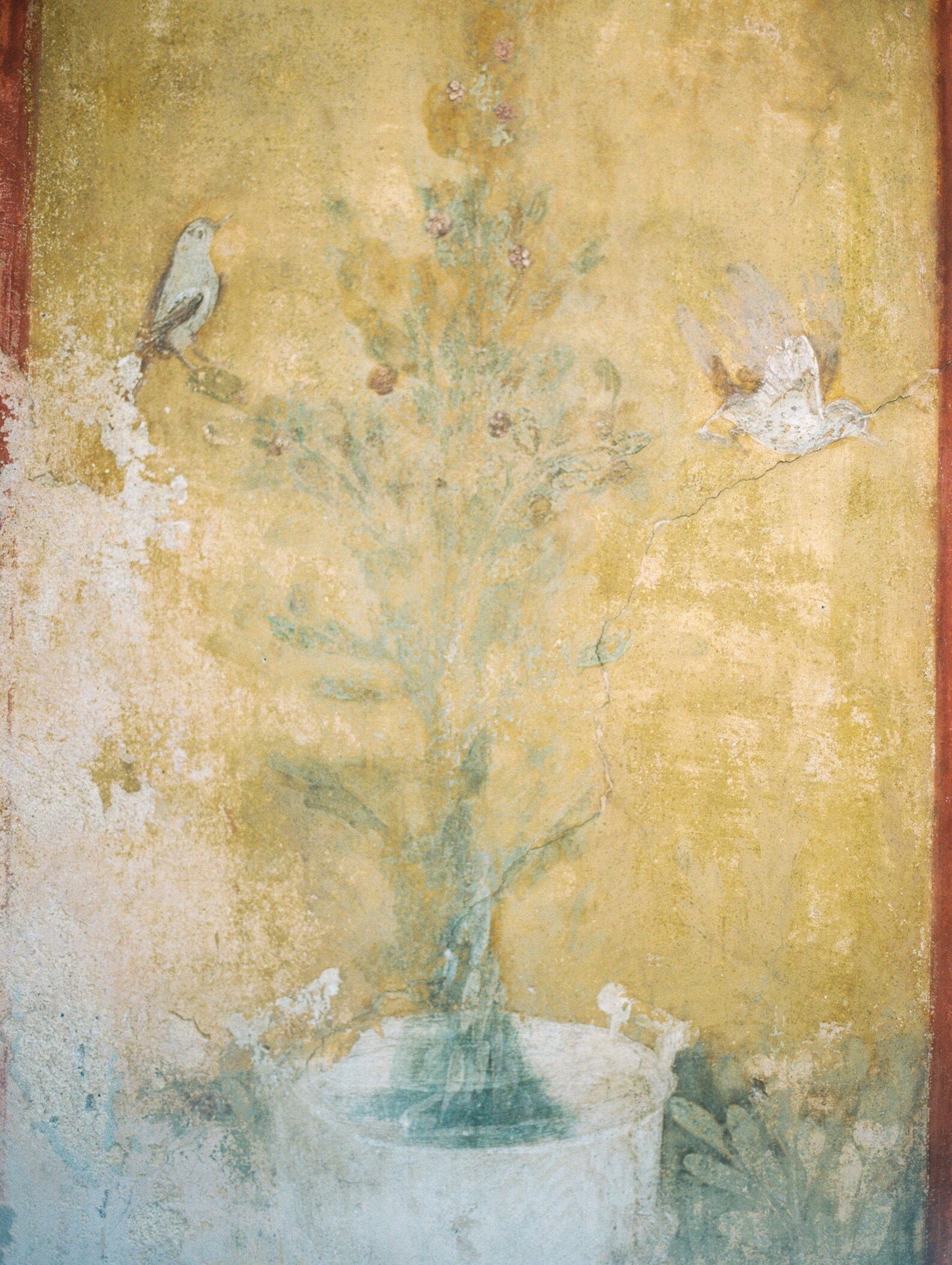 No 81. Pompeii Bird Fresco Fine Art Pompeii Italy Travel Etsy