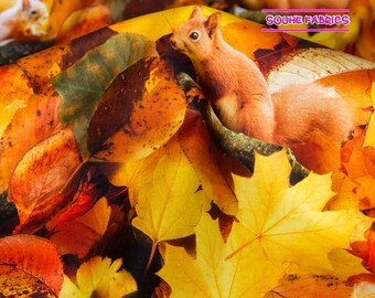 Japanese Kokka Digital Print Cotton Fabric Quilting Fabric Autumn-50CM