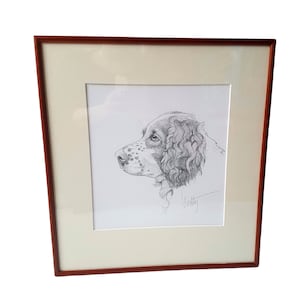 Charming Dog Drawing by Dutch Artist Walty Dudok van Heel