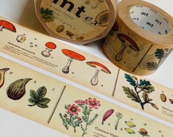 PLANTS & LEAVES ENCYCLOPEDIA Mt Washi Tape ~ 1 Roll ~ 30mm x 7m (23 Feet)