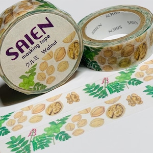 May include: Two rolls of masking tape with a walnut theme. The tape rolls feature the word "SAIEN" in purple, along with the words "masking tape" and "Walnut." The tape design includes illustrations of walnuts and green foliage.