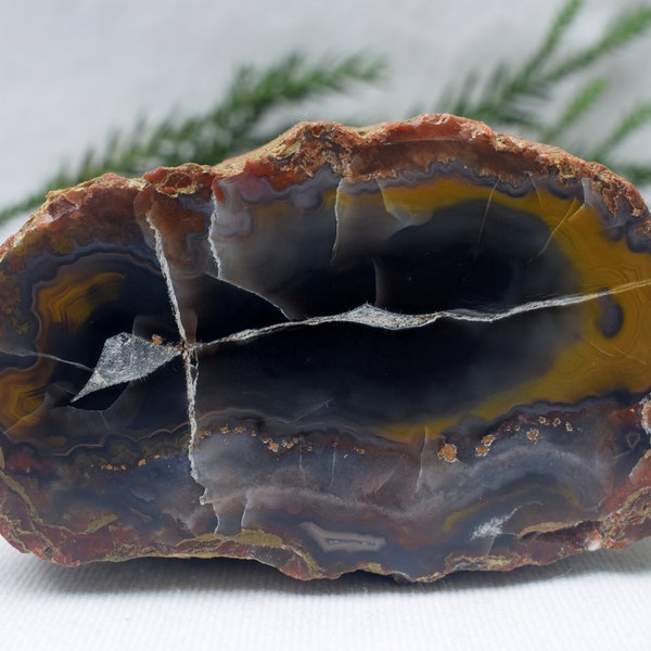 Large and rare blue Kentucky agate.  Banded agate, rocks and agates, fortification agate, blue agate, geode, agate nodule, kentucky rocks