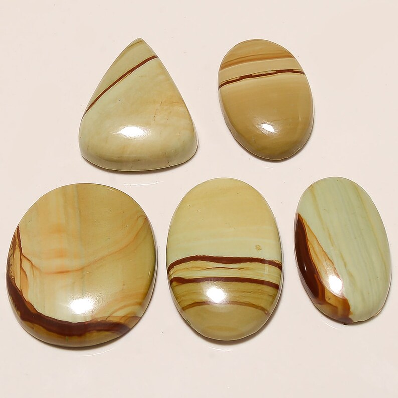 185 Cts Natural American Jasper Gemstone Cabochon 5 Pieces Multi Shape Loose Cabochon Multi Color Gemstone Craft Supplies Jewelry Making 226