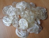 50 Pcs Dried Lunaria quot Silver Dollars quot Honesty Plant Craft Supply