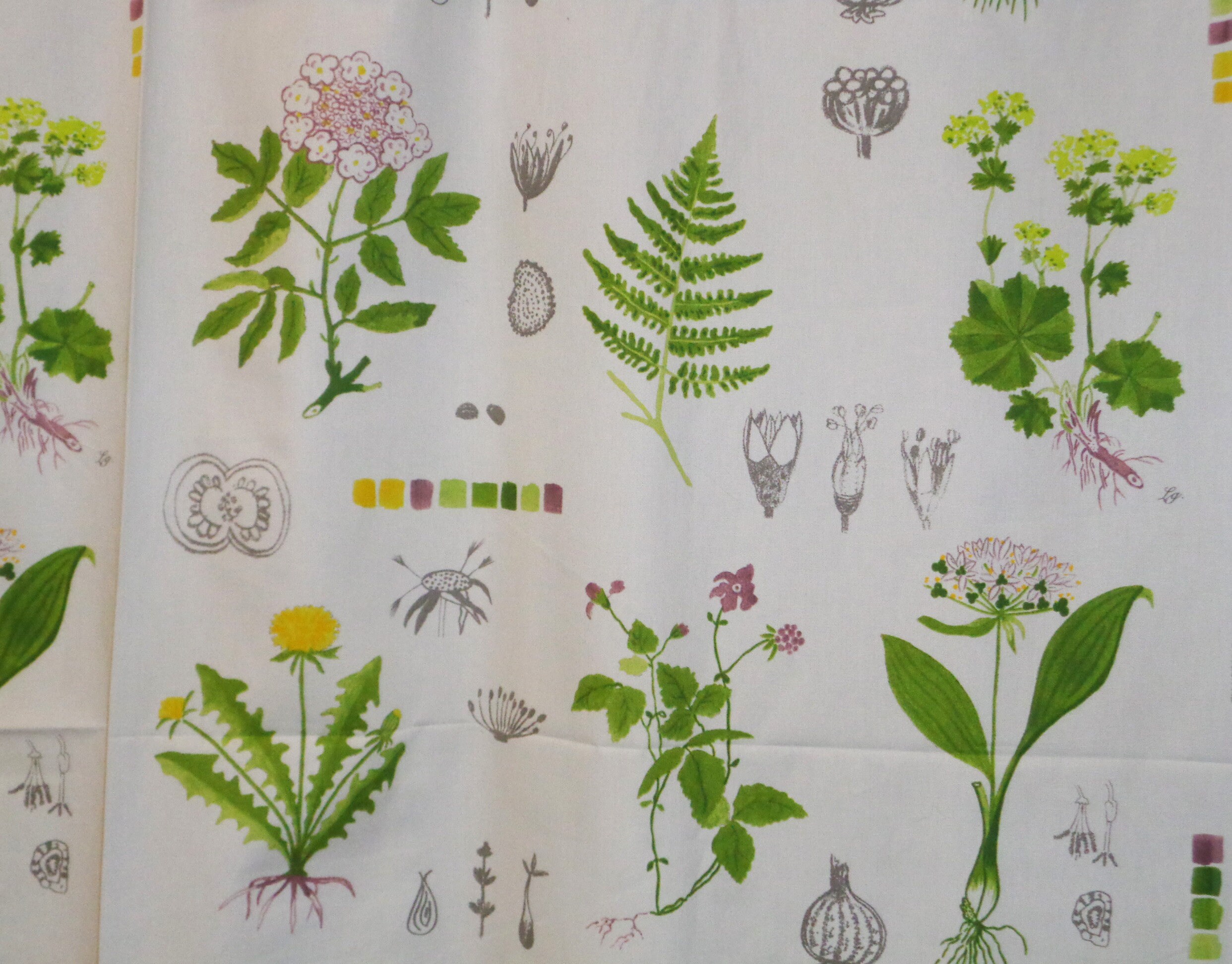 Curtain Panel with Botanical Print Pure Cotton Curtain | Etsy