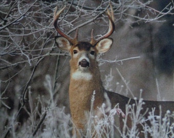 Cotton fabric piece with Deer print size ~14"x 22" Single Deer fabric for pillowcase, decor