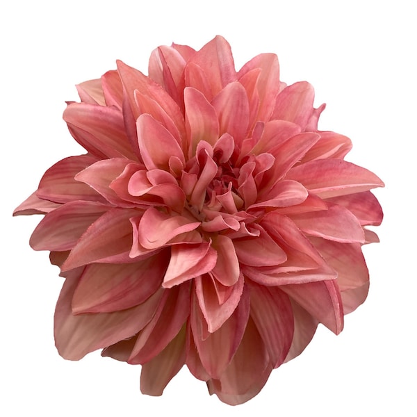 Große rosa Dahlie Haarspange und Brosche