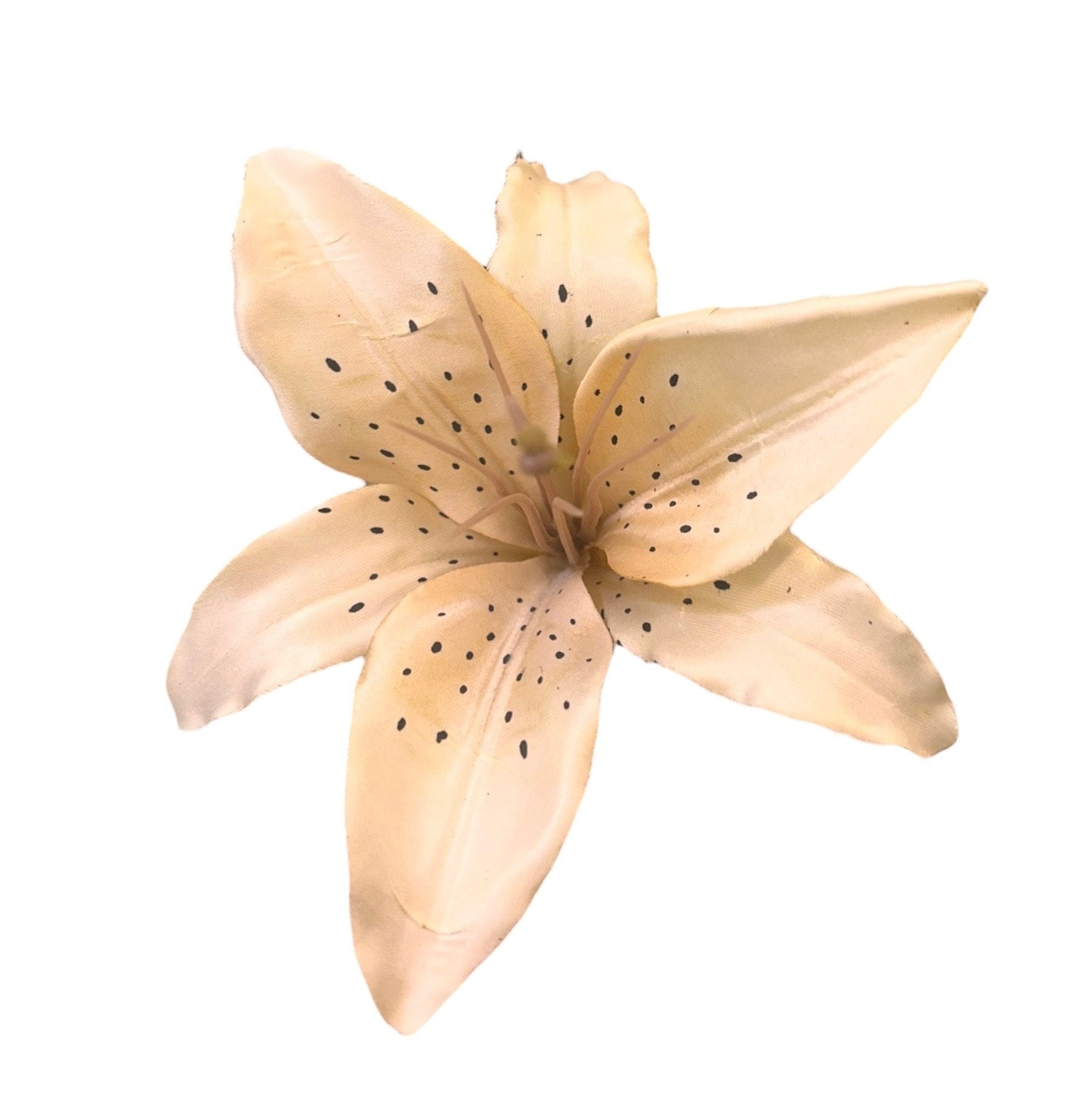 Tiger Lilly Wedding Starfish Hair Comb Barrette Tiger Lily Hair Comb - Etsy main image 2