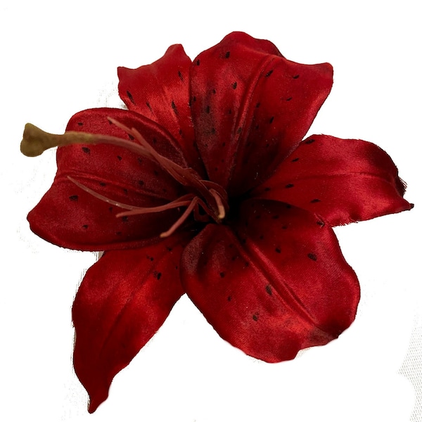 Beautiful Burgundy Dark Red Large Tiger Lily Flower