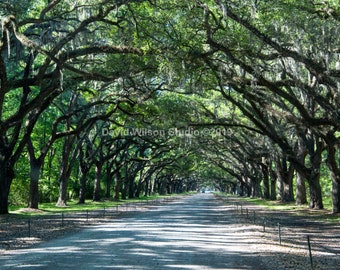 Arte impresión o lienzo foto rural, viejo, granero, país de la granja, tren, tractor, camión, gas, caballo, vaca, flor, decoración de la casa de campo, rústico,
