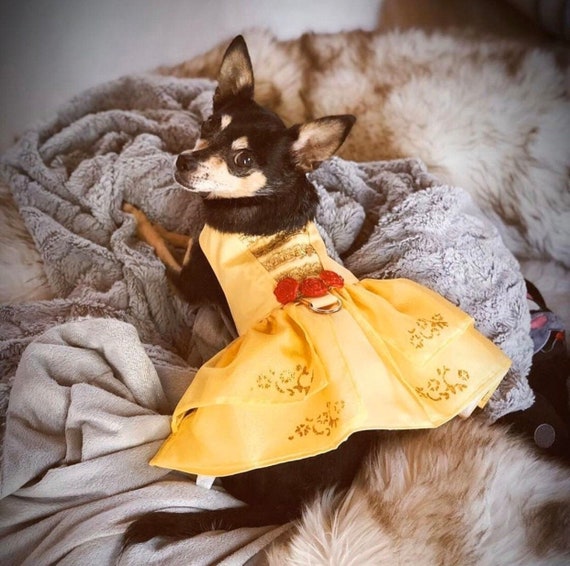 Belle dog dress dog princess costume yellow dress for dog Etsy