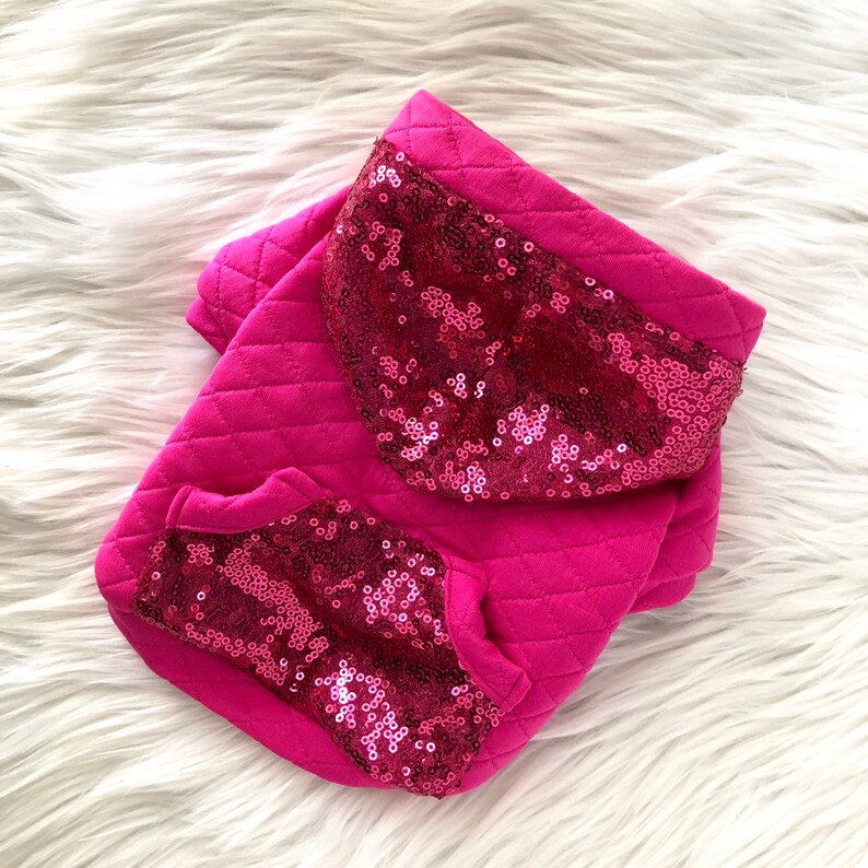 Dog hoodie puppy dog sweater hoodie with sequins Etsy