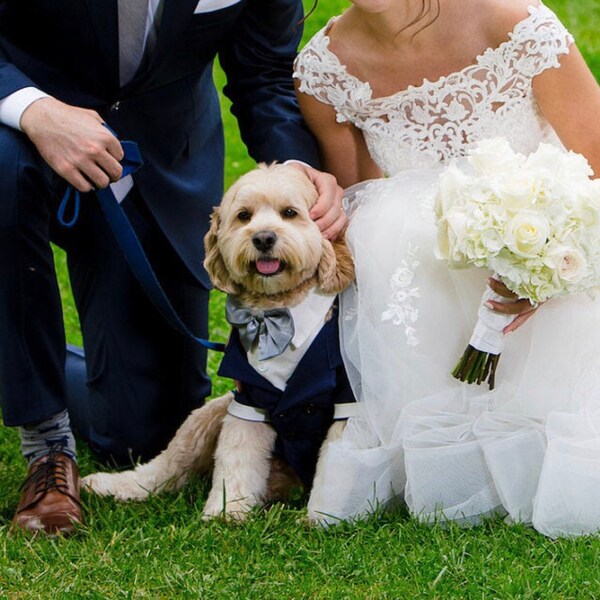 Dog tuxedo wedding outfit with bow tie, dog tux, dog clothes, bow tie