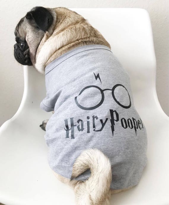 boy dog clothes
