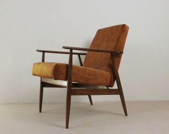 Samtweicher Vintage Sessel Mid Century, Typ 300-190, 1970er Jahre, Restaurierung, gut für Hunde und Katzen