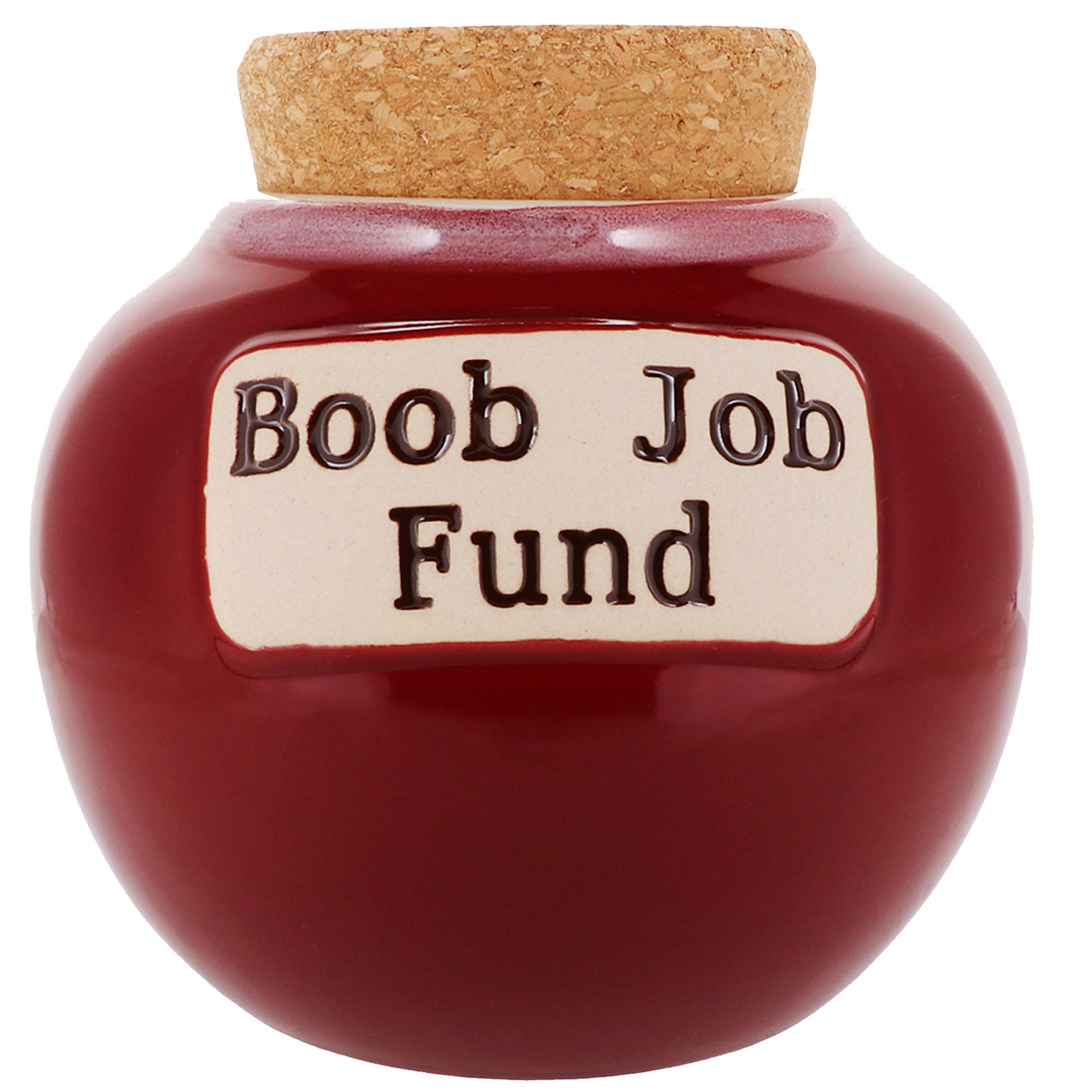 Cottage Creek Piggy Bank Boob Job Fund Coin Bank for Women Etsy