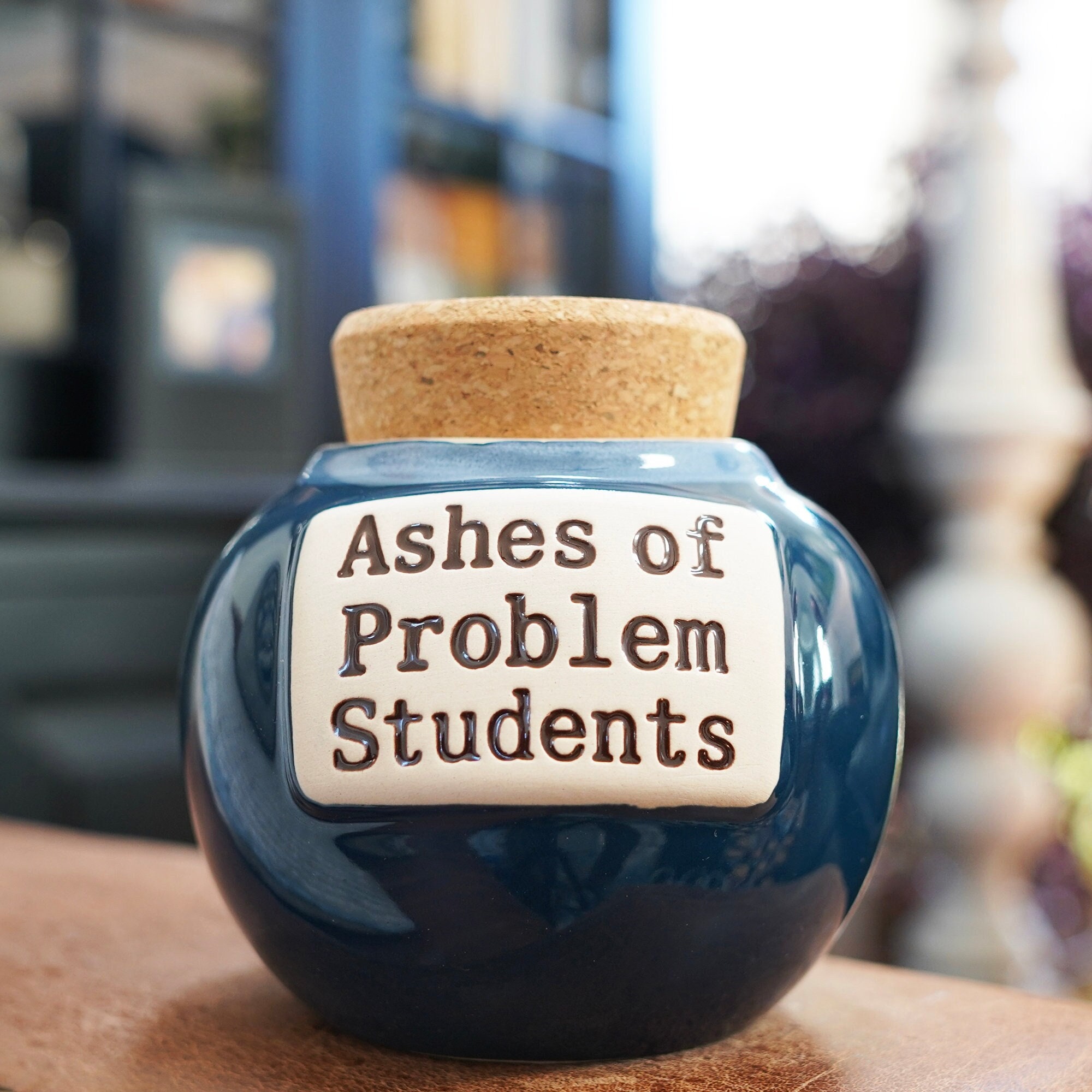 Ashes Of Problem Students Piggy Bank, Teacher Gift, Ceramic Candy Jar