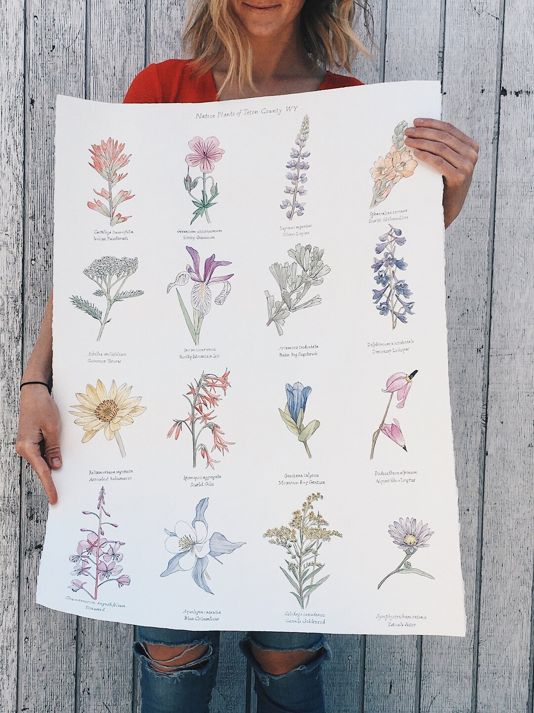 Custom Wildflower Poster – Botanical Illustration - Etsy