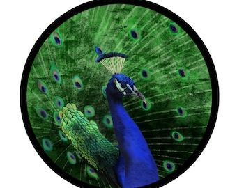 Peacock - Giclée Print