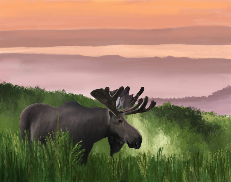 Minnesota Moose Giclée Print image 1