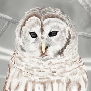 Owl - Giclée Print