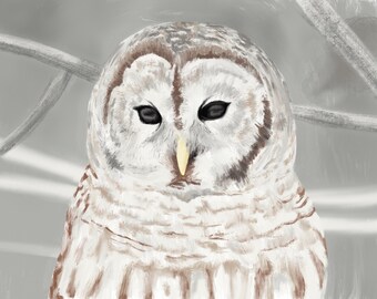 Owl - Giclée Print