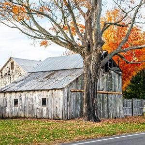 Old Withered Barn Original Photograph 8 x 10 Mat