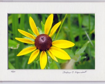 Tiny Flower Original 4x6 Photo 5x7 Matt Archival Inks