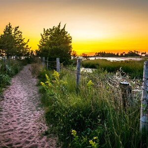 May include: A sandy path leads through tall grass and a wooden fence towards a sunset over a body of water.