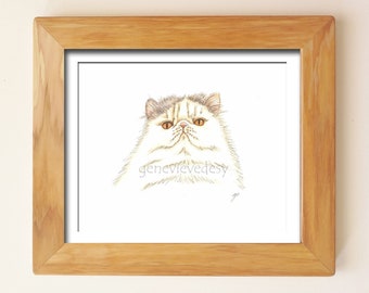 Persian Cat ink drawing - Original cat drawing made with ink and colored pencils
