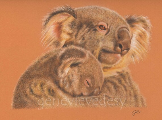 Dessin Original De Koalas Maman Et Bebe Koala Dessin Aux Etsy