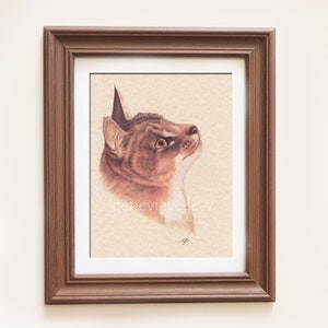 Dessin Original D Un Chat Dessin Aux Crayons De Couleur Etsy Canada