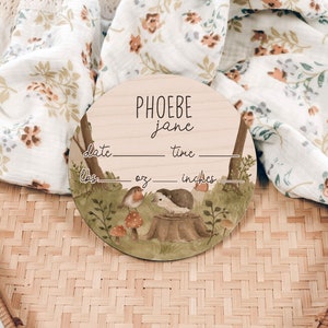Hedgehog Woodland Birth Stats Announcement Baby Name Sign Wood Sign Boho Rustic Rain Newborn Hospital Photo Prop Gender Reveal Baby Photo